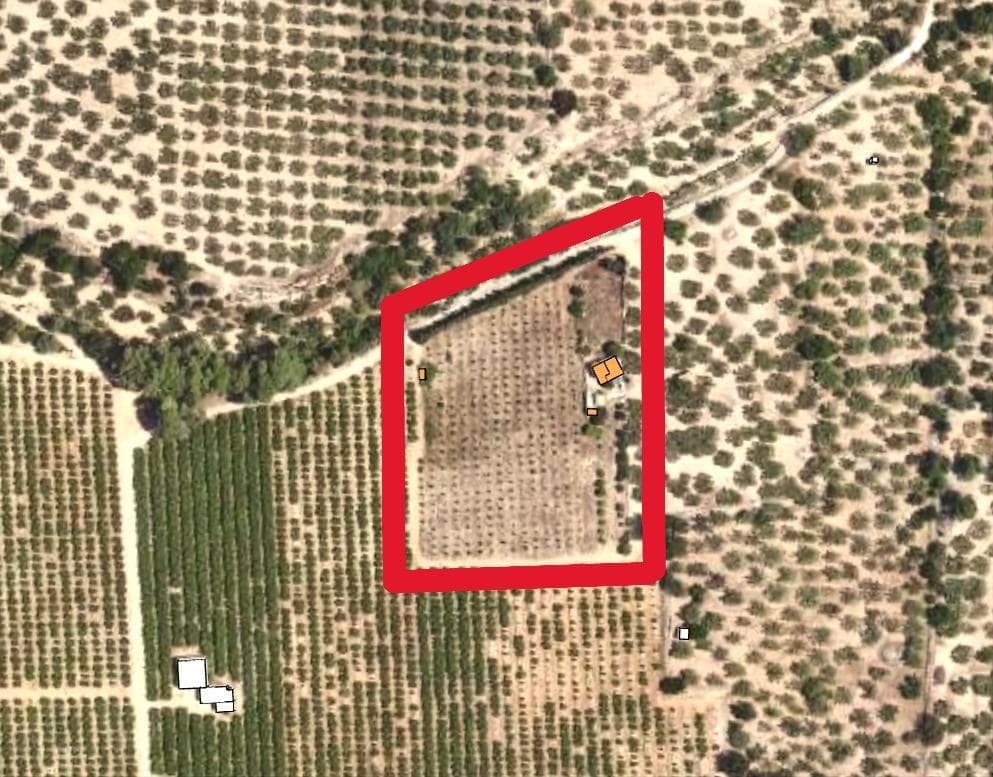 Parcela urbana + rústica en Les Coves (Santa Bàrbara, Tarragona) – 9